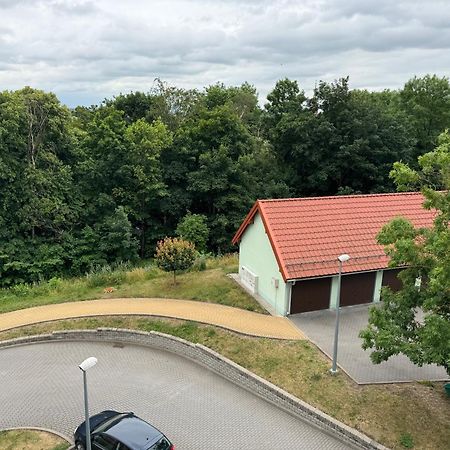 Bozki Apartament كونتشن المظهر الخارجي الصورة